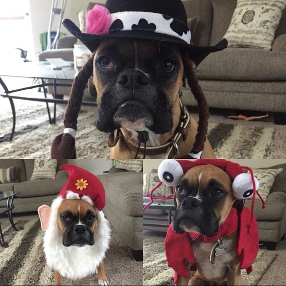 ♥️ Like and share to be notified when I go live.. - Picture 8 of 16